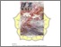 [thumbnail of LAMPIRAN.pdf]