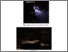 [thumbnail of Lampiran.pdf]