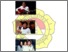 [thumbnail of Lampiran.pdf]